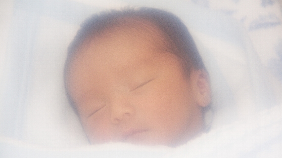 トップイメージ